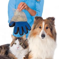 Washing Glove for Dog & Cat – Products Marketplace