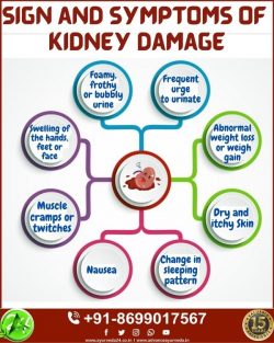 What Are the Signs of Kidney Failure?