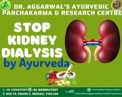 Ayurvedic Treatment for Kidney Failure