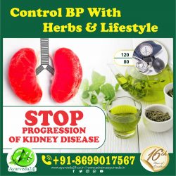 Control BP with Herbs and Lifestyle
