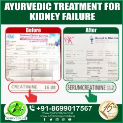 Kidney Treatment In Ayurveda