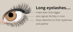 Three Tips Help You Get Longer Eyelashes