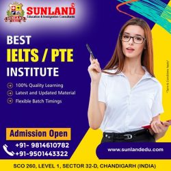 SEIC IELTS Institute in Chandigarh