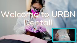 Top 10 Best Delta Dental PPO in Houston, TX | Dentist PPO Near Me