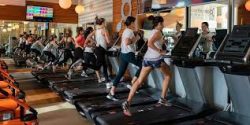 Orangetheory vs Sweat440