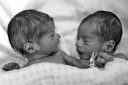 What Are the Odds of Having Twins?