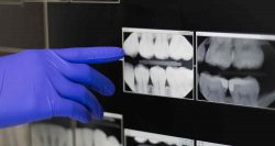 The Importance of Regular Dental Visits – URBN Dental Midtown Dentist Houston