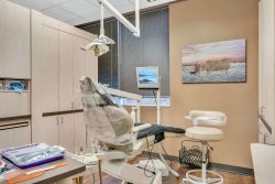 Dentists in Northwest Houston, TX