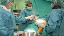 Los Mejores Doctores En Cirugía Estética En España