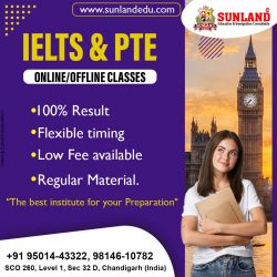 Our IELTS achievers | Book your demo classes now