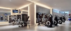 Best Fitness Gyms In Miami Florida