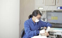 Dental Crown Replacement in Houston, TX