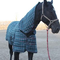Pferdestalldecken zu verkaufen