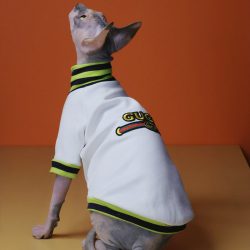 LV puppy pet dog coat hoodies for winter Sphynx cat clothes