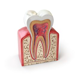 Root Canal Treatment Houston