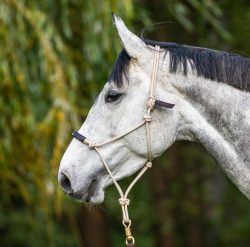 Seilhalfter für Pferd kaufen | Pferde-Knotenhalfter online kaufen