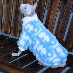 Dior pet dog cat Sphynx cat clothes pet coat winter clothes