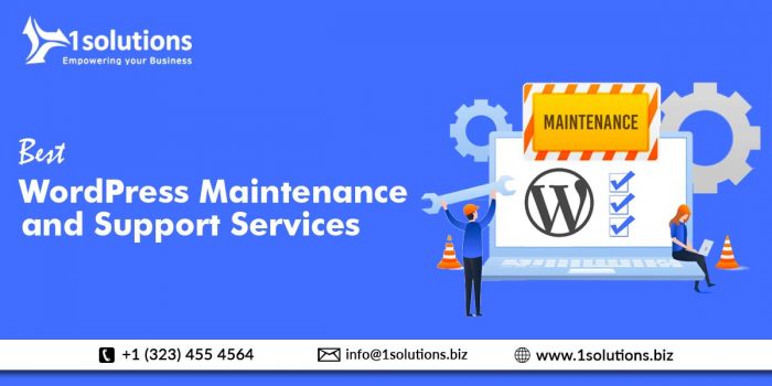 Best WordPress Maintenance and Support Services