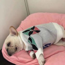 Louis vuitton LV pet dog cat sweater pet clothes