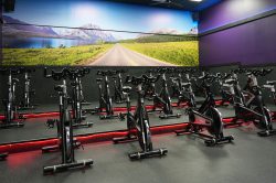 Find The Best Local Gyms In Florida