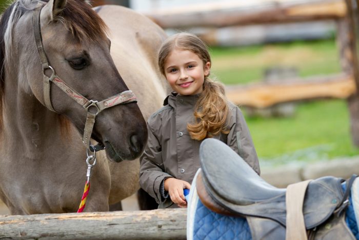 Dinge zum Reiten kaufen