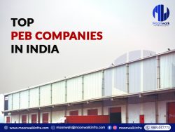 Top Peb Companies in India