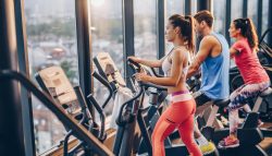 Find The Best Gyms Near Me No Contract Tennessee
