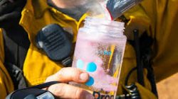 What are electrolytes and why are they put in drinks?