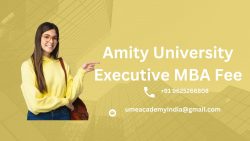 Amity University Executive MBA Fee