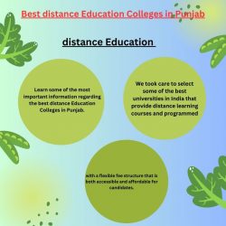 Best distance Education Colleges in Punjab