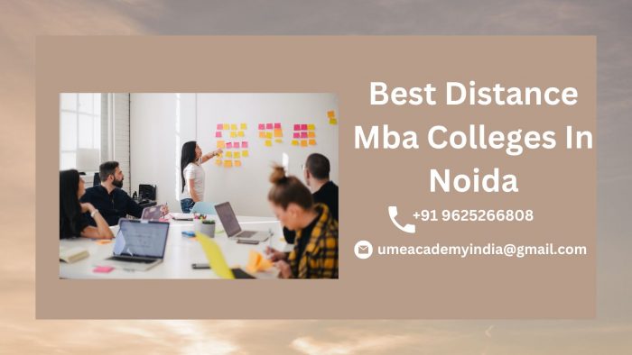 Best Distance Mba Colleges In Noida