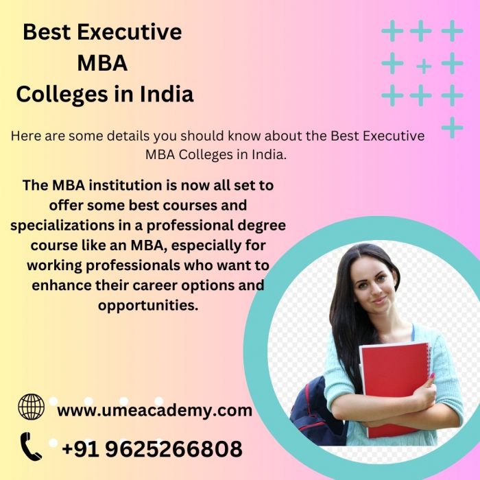 Best Executive MBA Colleges in India