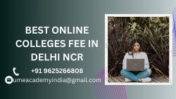 BEST ONLINE COLLEGES FEE IN DELHI NCR