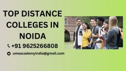 TOP DISTANCE COLLEGES IN NOIDA