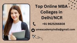 Top Online MBA Colleges in Delhi/NCR