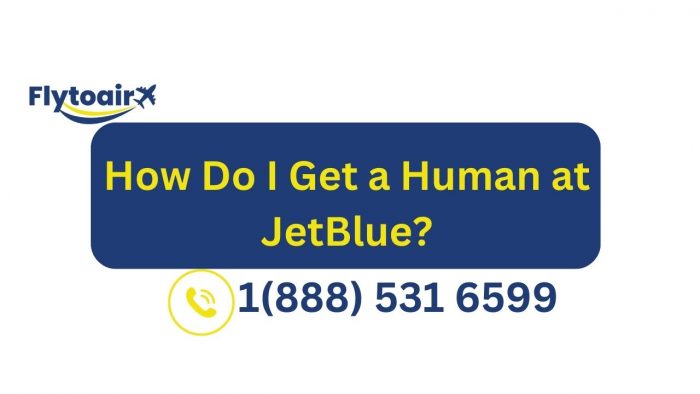 How Do I Talk to a Live Person at JetBlue?