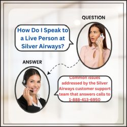 How Do I Speak to a Live Person at Silver Airways?