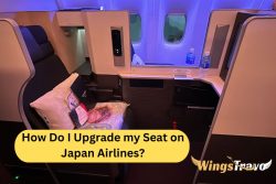 How Do I Upgrade My Seat on Japan Airlines?