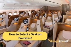 Emirates Seat Selection | How Do I Choose a Seat for My Flight?