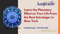 Learn the Planetary Effect on Your Life From the Best Astrologer in New York
