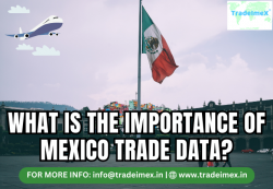 Mexico Trade Data