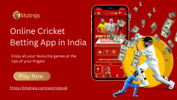 Best Cricket Betting Apps Real Money