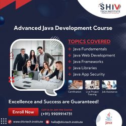 Advanced Java Development Course: Excellence Success Guaranteed!