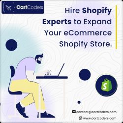 Shopify Store Boost: Bring in the Experts for Growth