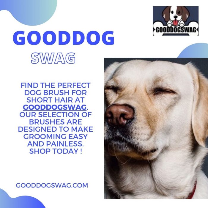 Dog Brush for Short Hair Dogs