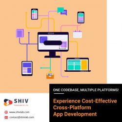 Experience Cost-Effective Cross-Platform App Development