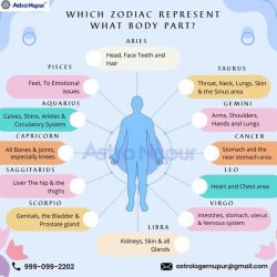 Do you know which Zodiac present what body parts?