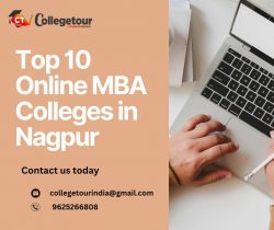 Top 10 Online MBA Colleges in Nagpur