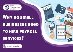 How Payroll Agency Handle Your Payroll Work Online