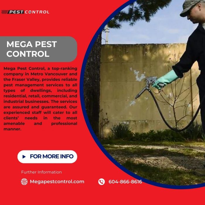 Safe and Efficient Wasp Removal in Langley